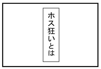 ホス狂いとは