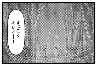「すっごくキレイー！！」